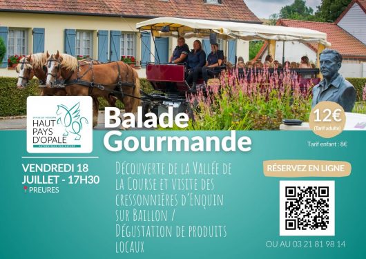 balade-en-caleche-18-juillet