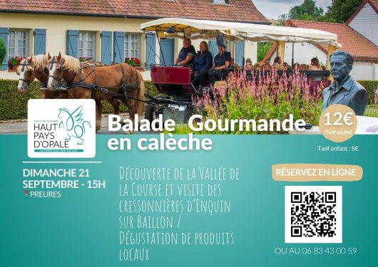 balade-en-caleche-21-septembre-4