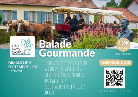 balade-en-caleche-21-septembre