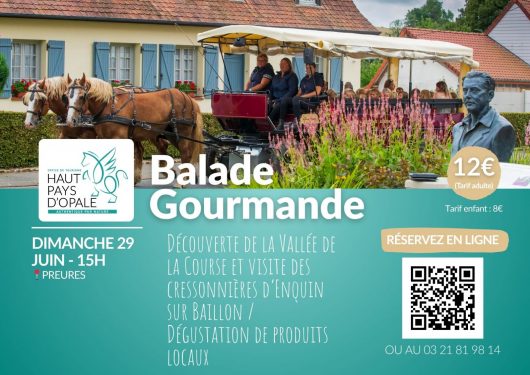 balade-en-caleche-29-juin