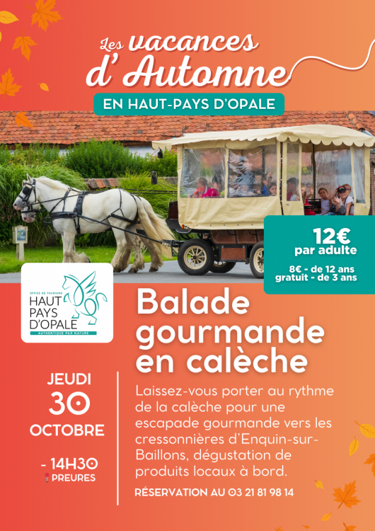 balade-en-caleche-preures-pas-de-calais