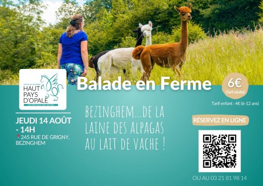balade-en-ferme-4-1