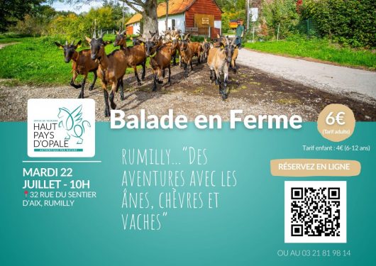 balade-en-ferme