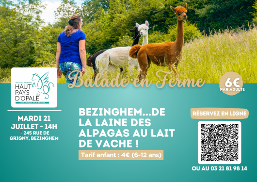 balade-en-ferme-bezinghem-1-1