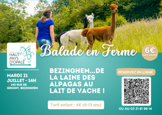 balade-en-ferme-bezinghem-1