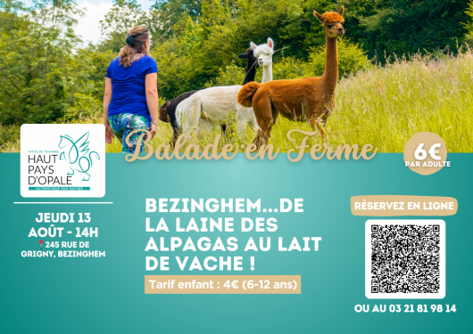 balade-en-ferme-bezinghem-2-1