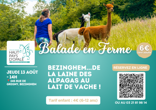 balade-en-ferme-bezinghem-2