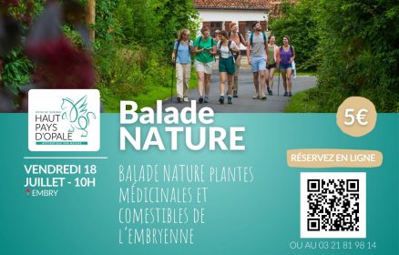 Balade nature plantes médicinales et comestibles de l’Embryenne