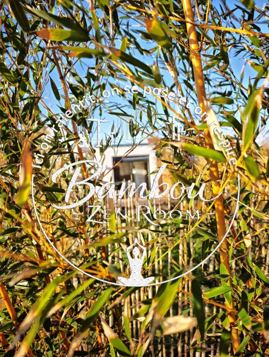 bambou-zen-room-vue-jardin