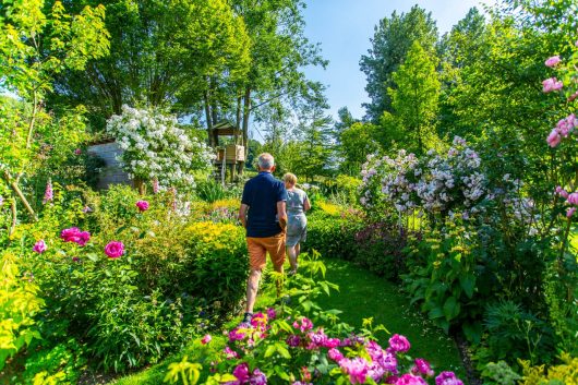 bb-fressin-ojardinpaisible-160622-0031-web-2