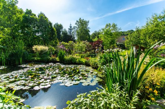 bb-fressin-ojardinpaisible-160622-0035-web-2