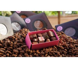Chocolat de Beussent Lachelle – Planteur chocolatier