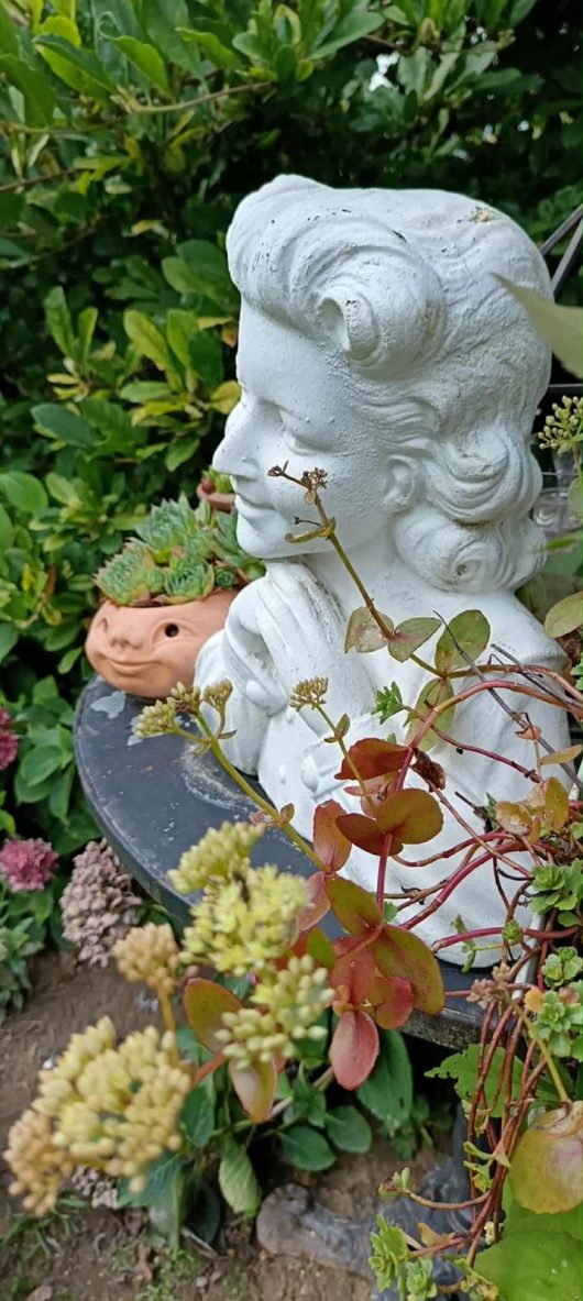 c5290fdf-29e8-4ed2-b3fe-2c97dc2fbfd3