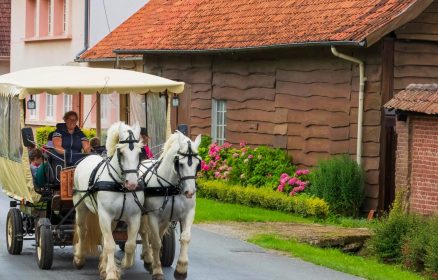 Balade en Calèche