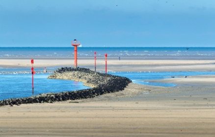 Sortie nature : découverte de l&rsquo;Estran