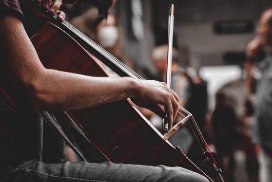 cello-7219171-640