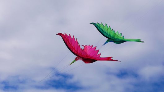 cerf-volant-berck