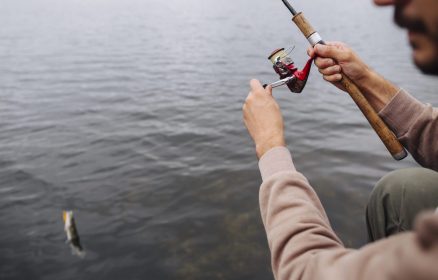 Activité « Pêche à pied »