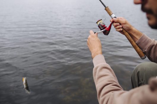 close-up-man-spinning-reel-catch-fish-from-water