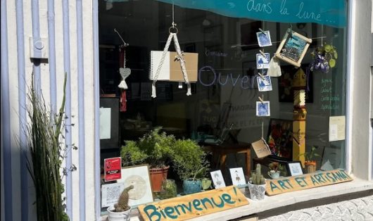 comme-un-poisson-dans-la-lune-ban-11