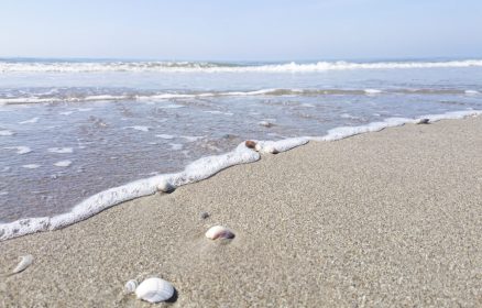 Mon Village Vacances – Éveil du corps et relaxation face à la mer