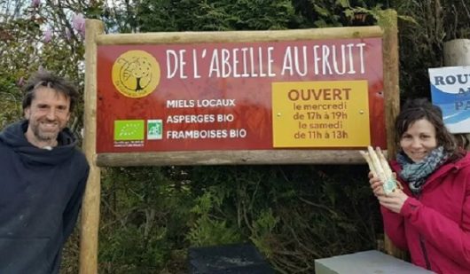 de-l-abeille-au-fruit-ban