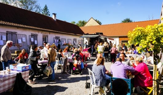dr-les-bobos-a-la-ferme-ban-1
