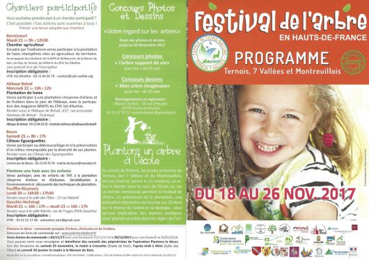 du-18-au-26-novembre-festival-de-l-arbre-hauts-de-france
