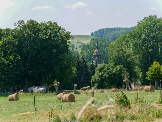 eglise-notre-dame-buire-au-bois-m06-2018-a-chaput-pas-de-calais-tourisme-2
