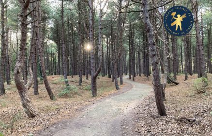 Visite guidée – Grande balade « Entre mer et forêt »