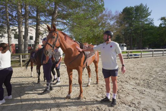equitherapie-1