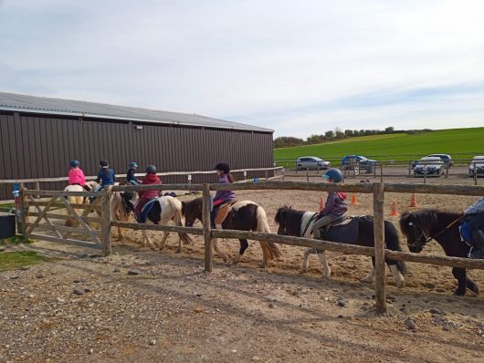 ferme-equestre-la-ferme-de-mon-enfance-sophie-ranson-1