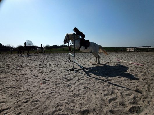 ferme-equestre-la-ferme-de-mon-enfance-sophie-ranson-3