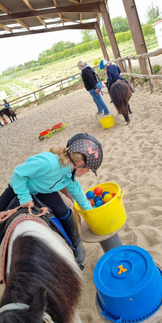 ferme-equestre-la-ferme-de-mon-enfance-sophie-ranson-4