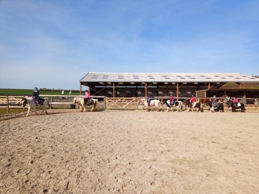 ferme-equestre-la-ferme-de-mon-enfance-sophie-ranson-5