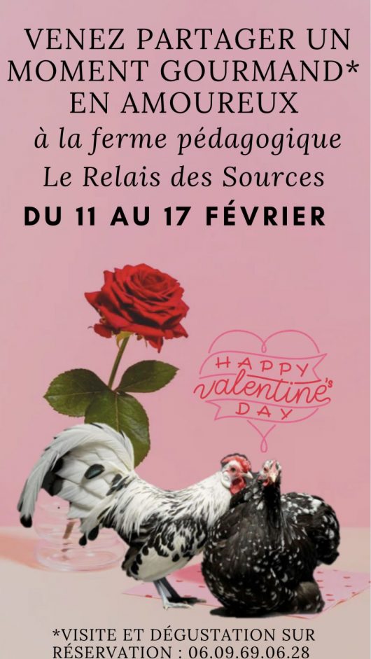 fevrier-11au17-stremyaubois-relaisdessources-stvalentin-1