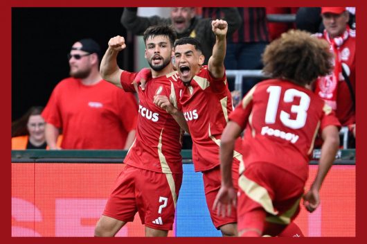 footstandardliege2