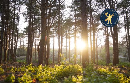 Visite guidée – Solstice d’hiver « La forêt du Touquet au crépuscule »