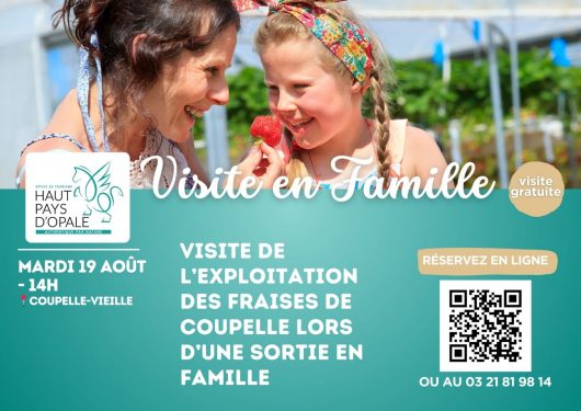 fraise-de-coupelle-2