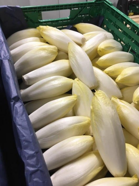 fruits-legumes-drive-fermier-du-montreuillois-drive-fermier-du-montreuillois-02