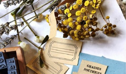 graines-poetiques-chartreuse