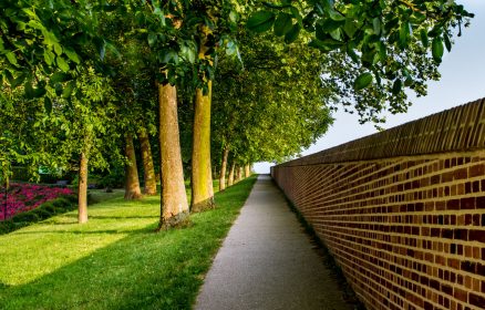 Du haut des remparts : entre mer et campagne