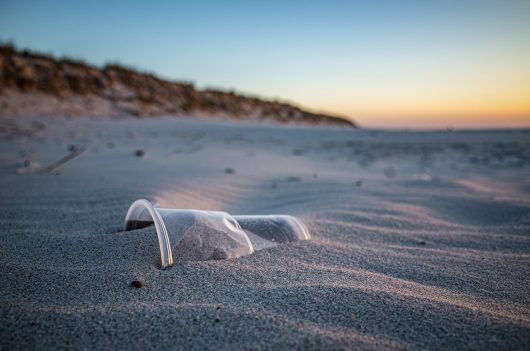 hamsterfreund-beach-5697987-1280-1