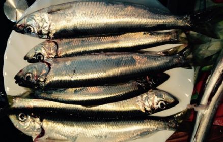 Soirée Harengs ou Côte de Porc