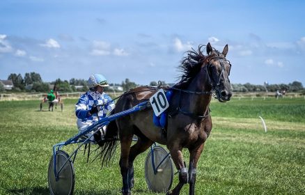 Courses hippiques à l’Hippodrome de Berck-sur-Mer