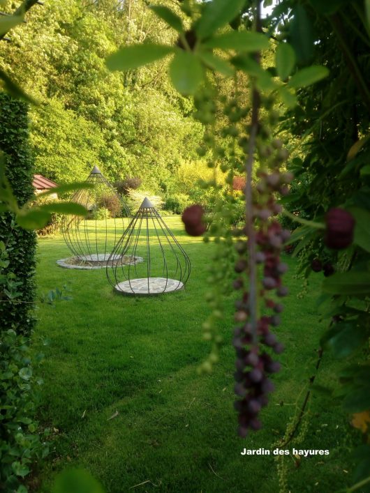 img-20210529-200023-1