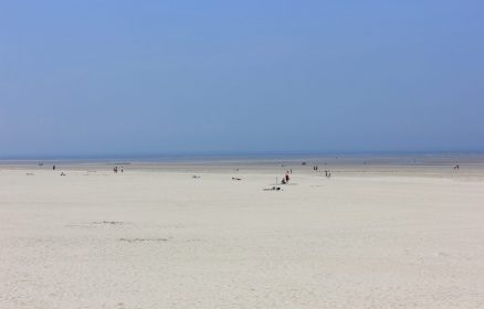 Un été au Musée : L&rsquo;horizon prend la pose