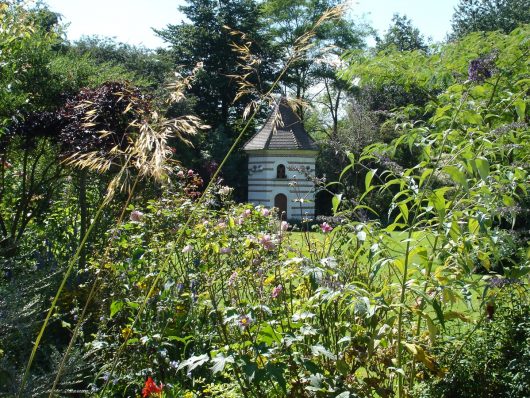 jardin-des-lianes-a-cheriennes-13