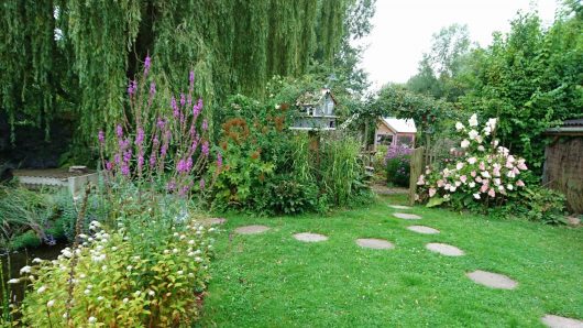 jardin-goutte-deau2