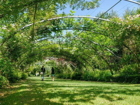 jardins-de-sericourt-m06-2018-a-chaput-pas-de-calais-tourisme-10